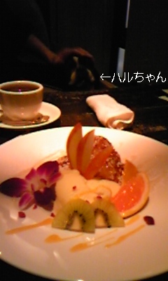 110417_202202_ed.jpg