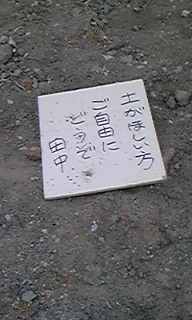 110505_185838_ed.jpg