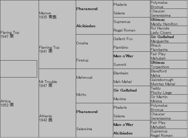 セントライト記念はユールシンギング 栗山求の血統BLOG