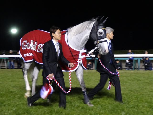 G1馬 アドマイヤリード 実使用ゼッケン ステイゴールド 系統確立 G1馬 アドマイヤリード 実使用ゼッケン ステイゴールド 系統確立