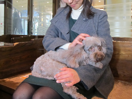 犬々房