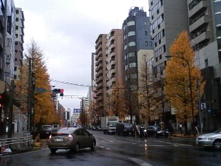 081214_1049~010001.jpg