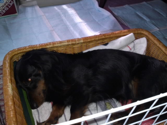 mini_110205_1142.jpg