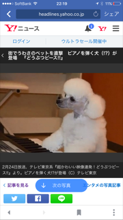 image1.PNG