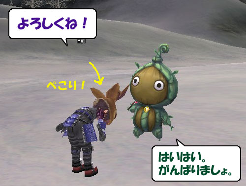 FF11