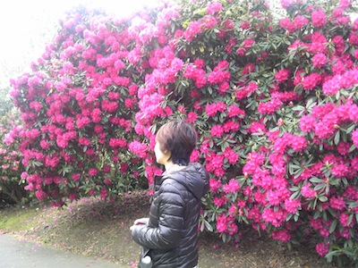 写真45−24