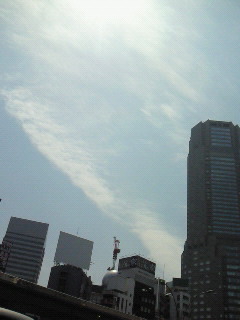 NEC_0354.jpg