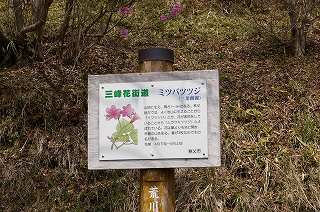 IMGP4719.jpg