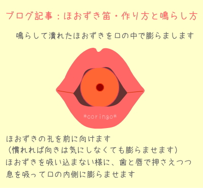 ほおずき笛の作り方 吹き方 鳴らし方 チワワ好き主婦のほっこりブログ