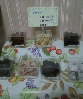 ぷちケース7種見本