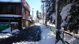 2018年1月23日朝
