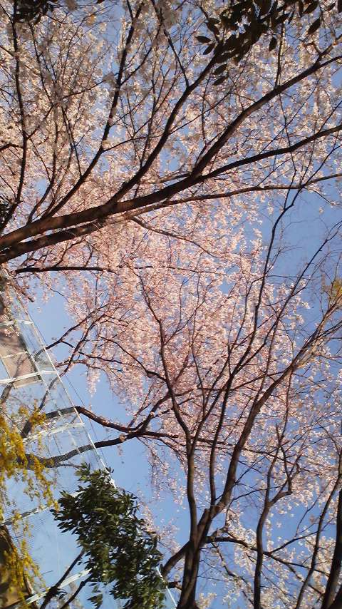 100404_1516~01.jpg