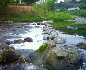 201204291428001.jpg