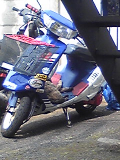 Image036.jpg
