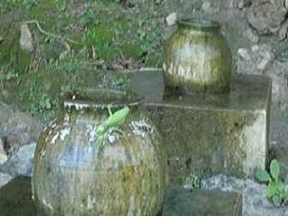 沖縄画像 009.jpg