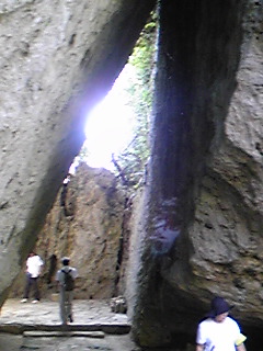 Image237.jpg