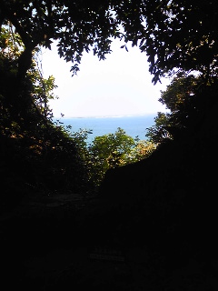 Image233.jpg