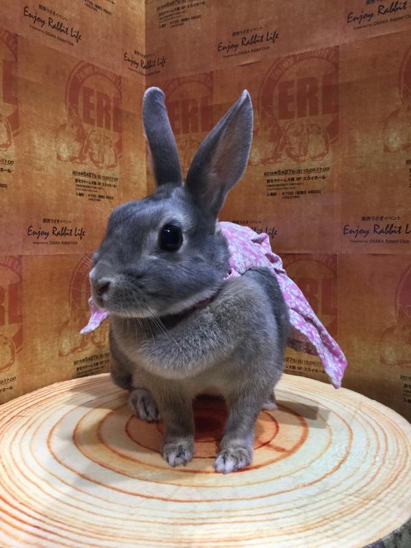 20180527_061730117_iOS.jpg