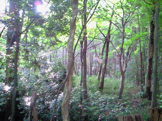 200808040734000.jpg