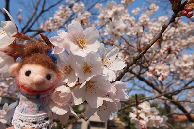 桜 096 - コピー.JPG