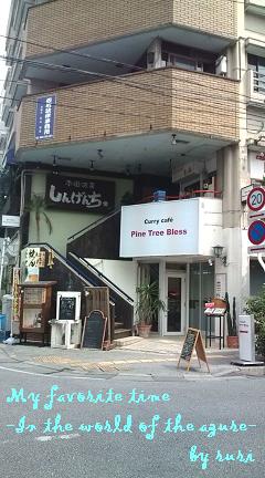 Pine Tree Bless