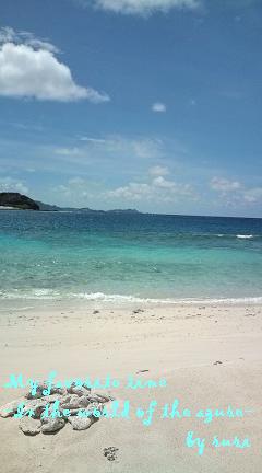 海