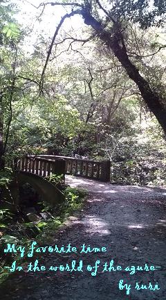 橋