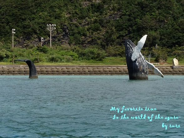 くじら?!(笑)