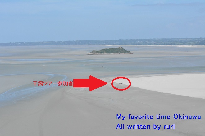 干潟ツアー