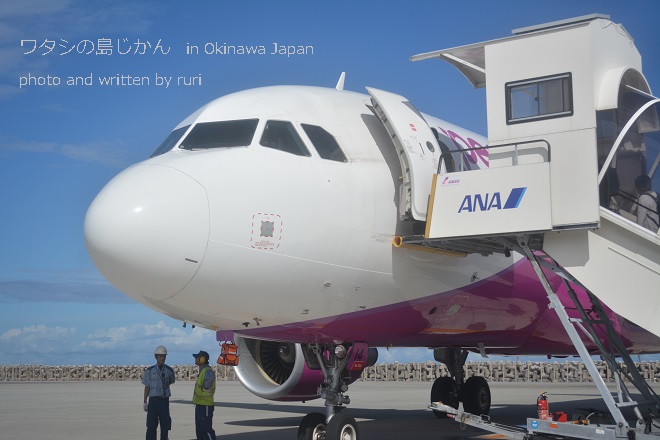 飛行機