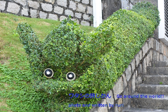 植木がドラゴン