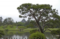 岡山城