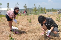植樹祭2012