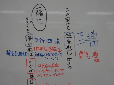 DSC01054.JPG