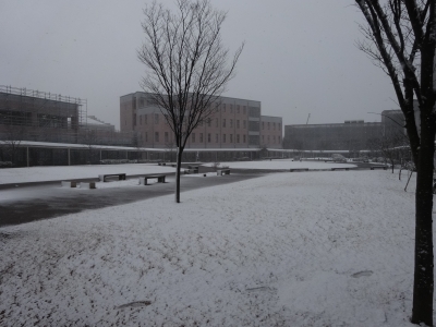 DSC01624.JPG