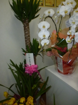 2014-03-29 18.27.56.jpg