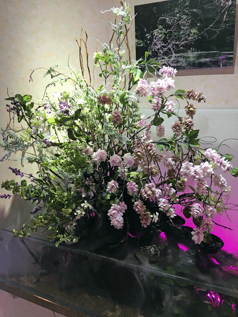 IMG_2437.gif