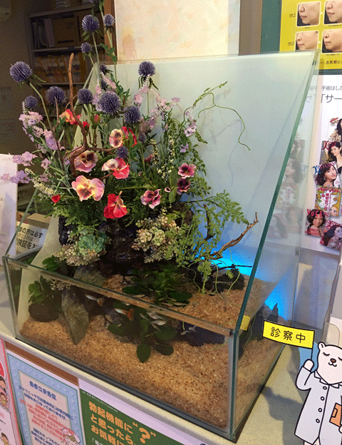 IMG_2447.gif