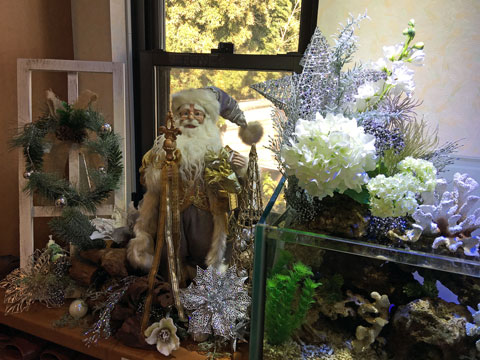 IMG_4775.jpg