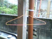 代わりに残されたハンガー