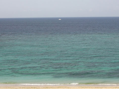 海に真っ白い?船