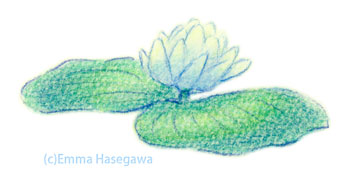 「EndlessBlue」のワンポイント