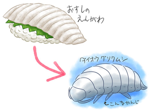 えんがわ→ダイオウグソクムシ