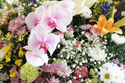いわき市 小名浜の花屋 花国湘南台店