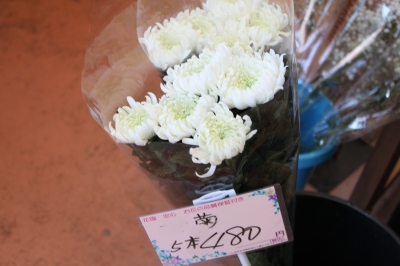 お彼岸 お花 お墓参り いわき市 小名浜の花屋 花国湘南台店