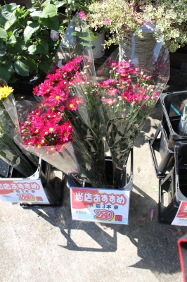 お彼岸 お花 お墓参り いわき市 小名浜の花屋 花国湘南台店