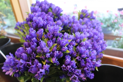 お彼岸 お花 お墓参り いわき市 小名浜の花屋 花国湘南台店