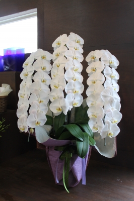フラワー祭壇 お供えのお花 ご葬儀 家族葬 生花祭壇 いわき市 小名浜の花屋 花国湘南台店