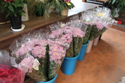 切花 激安 家族葬 生花祭壇 いわき市 小名浜の花屋 花国湘南台店