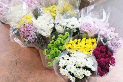 切花 激安 家族葬 生花祭壇 いわき市 小名浜の花屋 花国湘南台店